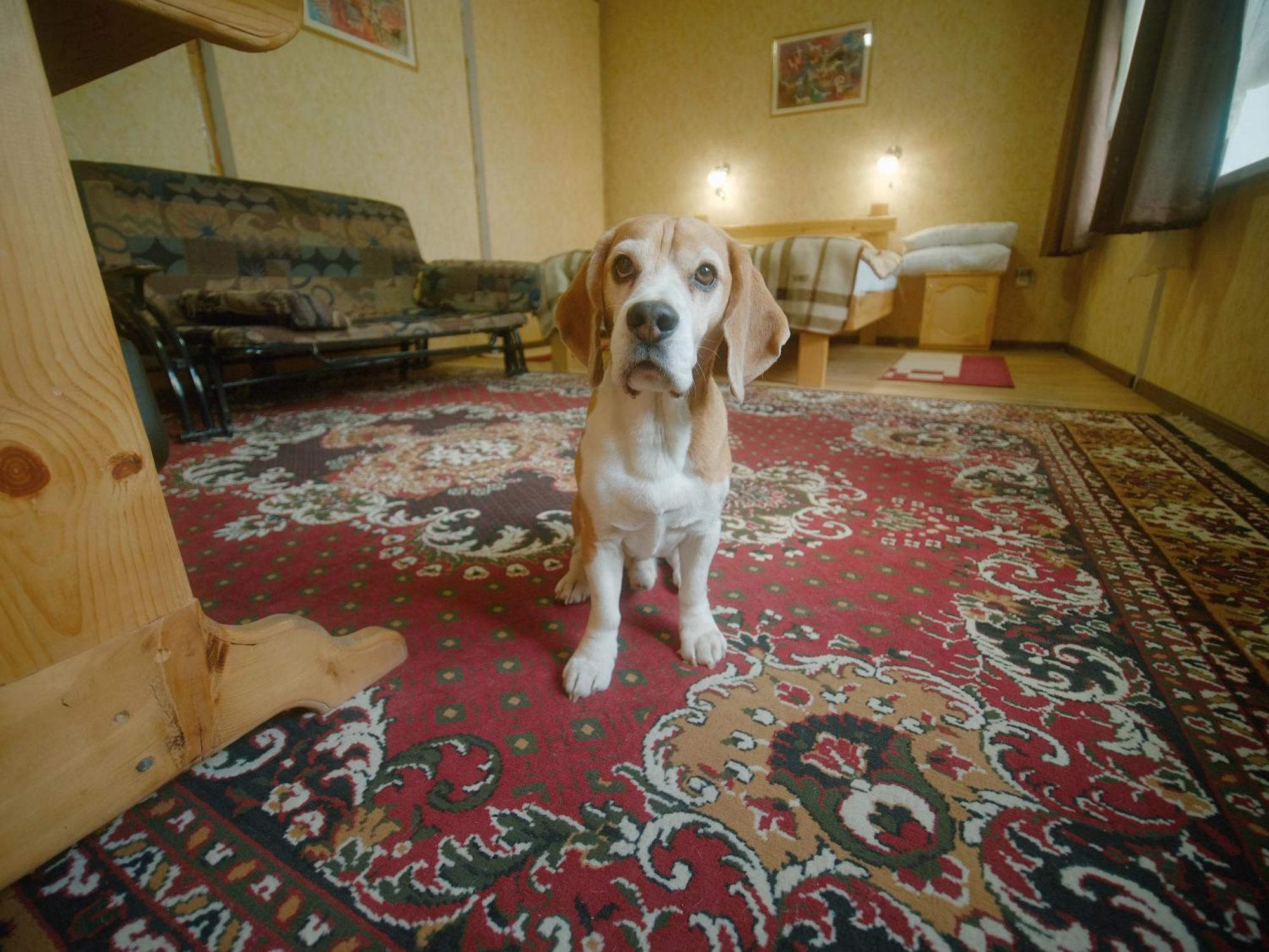 Guesthouse Alakol Karakoł Zewnętrze zdjęcie